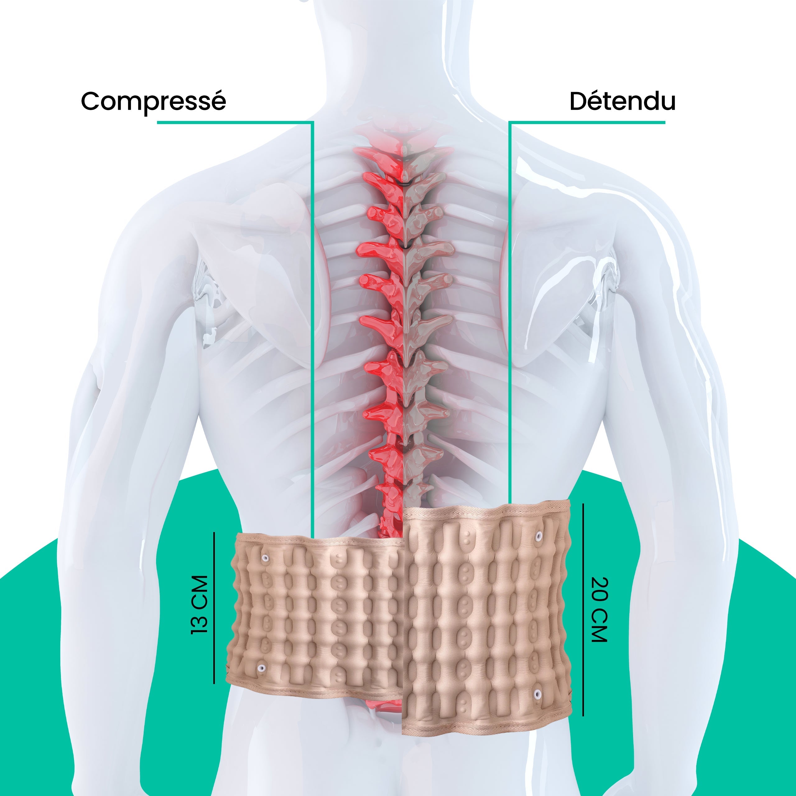 Lombic™ - Ceinture de décompression