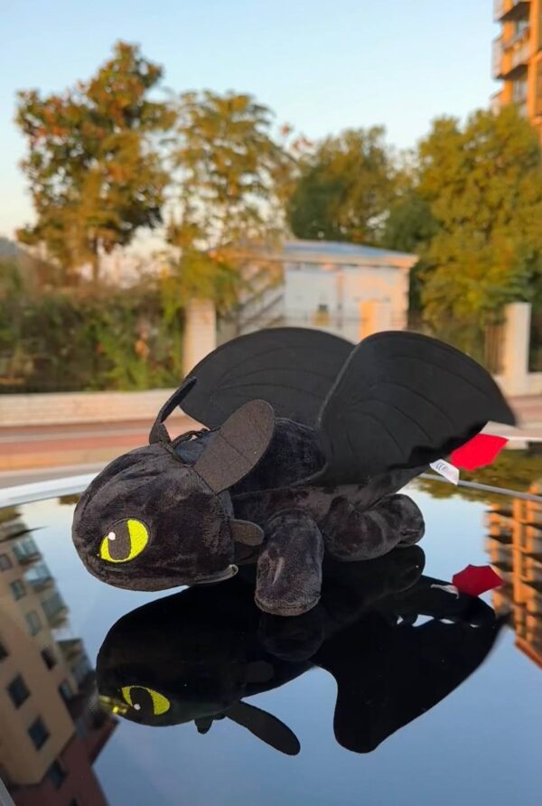 Toothless RearDragon ®