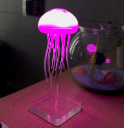 The JellyLamp™