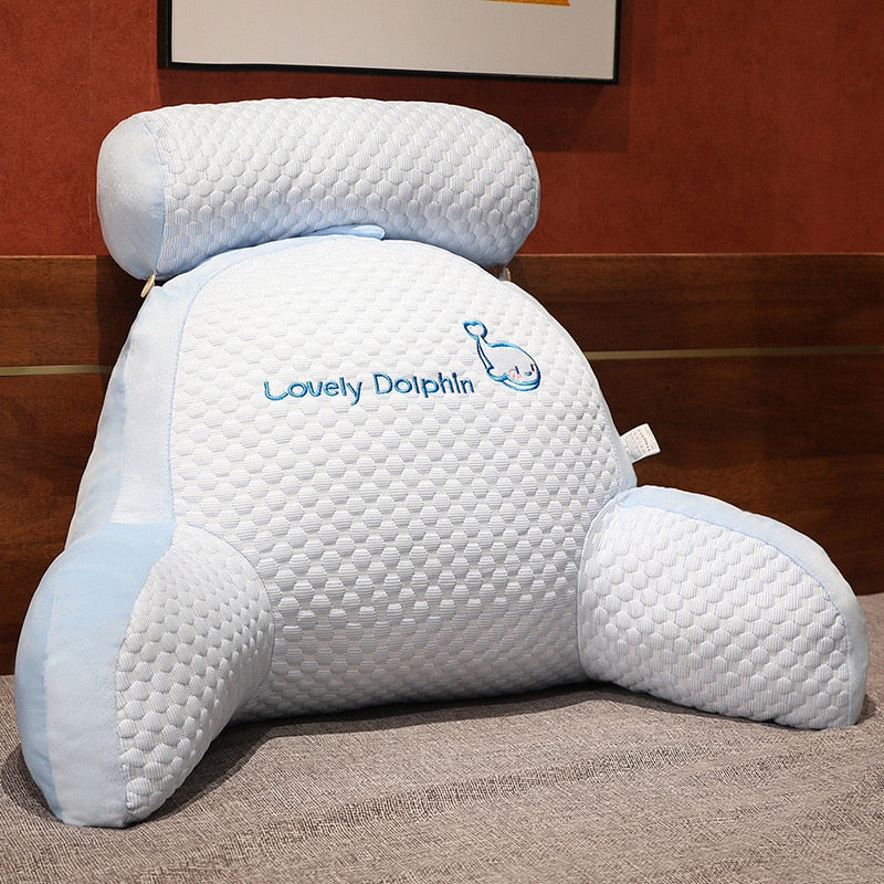 PasoHug®  Coussin Câlin avec Accoudoirs